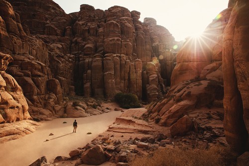 صورة_المعرض